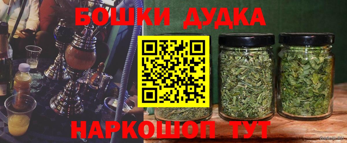 Бошки марихуана сатива  Бошки марихуана план  Вход с VPN  Ковров 
